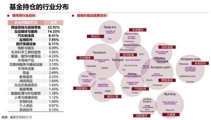 砸崩特斯拉的BG究竟什么來頭？軟件外包服務全景解析